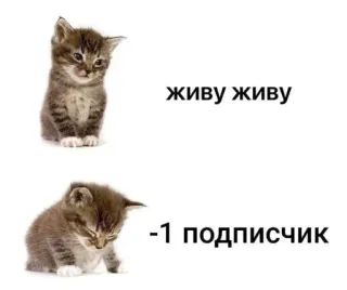 🤩 882eb581 живу живу
-1 подписчик chat, chaton, russe, mème, triste, abattu whatsapp sticker