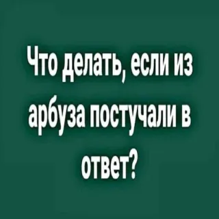 🤩 9a6985f5 Что делать, если из арбуза постучали в ответ? russe, question, texte, humour, fond vert, pastèque whatsapp sticker