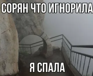 🤩 cfbfd937 СОРЯН ЧТО ИГНОРИЛА
Я СПАЛА excuse, prétexte, mème, texte, russe, sommeil, ignorer, désolé(e) whatsapp sticker