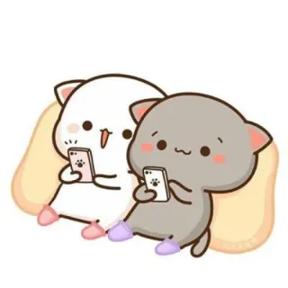 peach cat telegram stickers