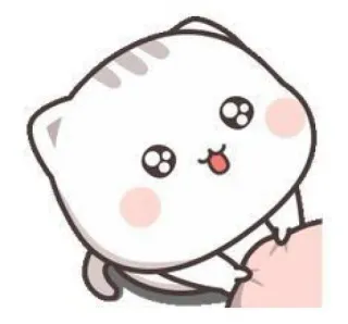 🧉 14c9711d кот, милый, мультик, каваи, животное, наклейка telegram sticker