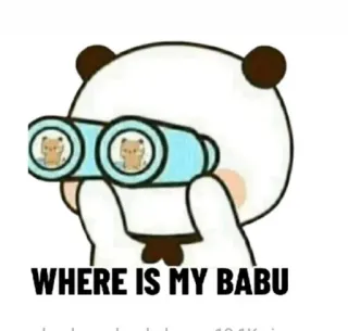 🕵 6caf23e3 WHERE IS MY BABU panda, looking, binoculars, cute, cartoon whatsapp sticker