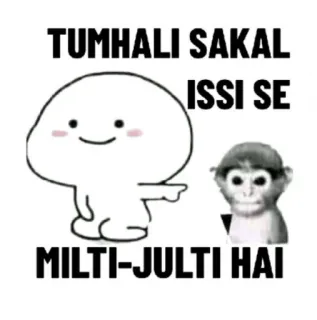 🐒 9d375f81 TUMHALI SAKAL ISSI SE MILTI-JULTI HAI meme, funny, insult, monkey, cartoon whatsapp sticker