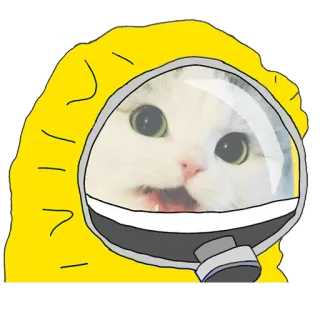 🛡 23d8949a kot, kombinezon ochronny, śmieszne, mem, zwierzę, naklejka telegram sticker