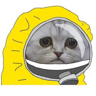 🛡 2a9efde0 kot, kombinezon ochronny, smutny, łzy, naklejka, słodki telegram sticker