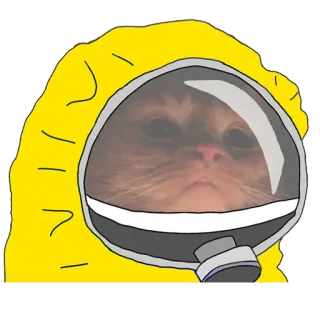 🛡 c1610f89 kot, materiał niebezpieczny, kombinezon, mem, zwierzę, śmieszne telegram sticker