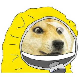 🛡 edad9967 pies, mem, kombinezon ochronny, doge, śmieszne, naklejka telegram sticker