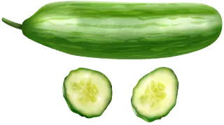 🥒 1952decc concombre, légume, nourriture, sain, vert telegram sticker