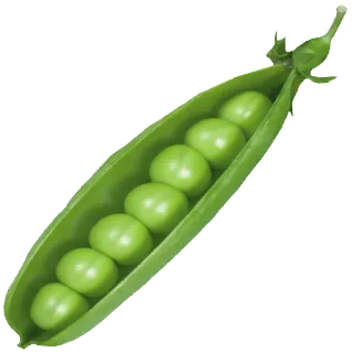 ☘ 19e62123 petits pois, légume, nourriture, vert telegram sticker