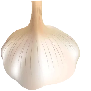 🌱 215dc83f ail, légume, nourriture, condiment, aromatisant, ingrédient telegram sticker