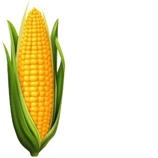 🌽 60faed75 Maïs, Légume, Aliment, Plante, Agriculture telegram sticker