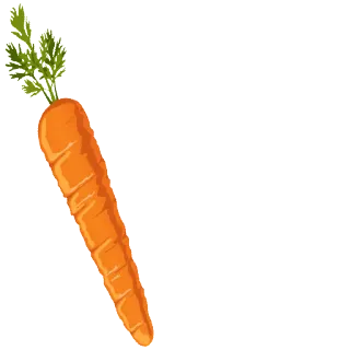 🥕 64ba635f légume, carotte, nourriture, orange, sain telegram sticker