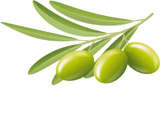 🍈 6924bed0 olive, olives, aliment, ingrédient, vert, branche, plante telegram sticker