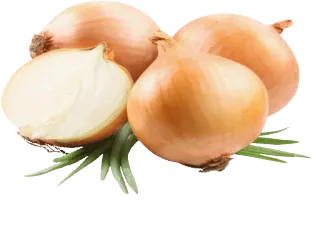 🌱 aa9933f9 oignon, légume, nourriture, cuisine, ingrédients telegram sticker