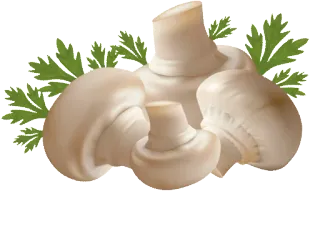 🍄 af30992e champignon, légume, nourriture, ingrédient, persil, cuisine telegram sticker