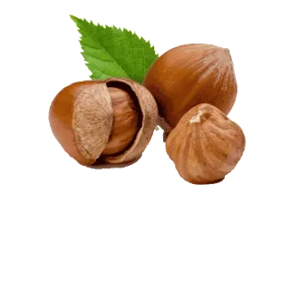 🌰 da65e069 noisettes, noix, alimentation, sain, collation telegram sticker