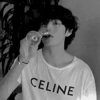 🍷 1c716bed CELINE person, drinking, t-shirt, celebrity telegram sticker