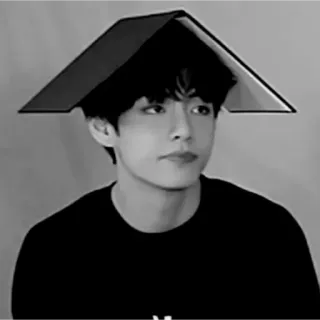 😐 2fa9d53b V kpop, singer, person, male, portrait telegram sticker