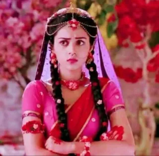 😠 62764a41 女人, 印度, 传统, 肖像, 粉色, 美丽, 文化 telegram sticker