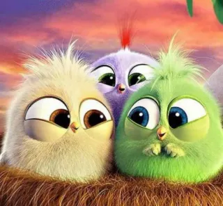 @stickersbag 💖 Angry birds 🌟 telegram stickers