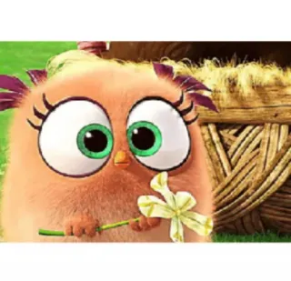 🌸 97144069 telegram sticker