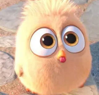 @stickersbag 💖 Angry birds 🌟 telegram stickers