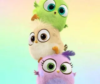 @stickersbag 💖 Angry birds 🌟 telegram stickers