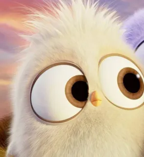 🙄 fd03eb5d anak burung, anak ayam, berbulu, kartun, imut, hewan telegram sticker