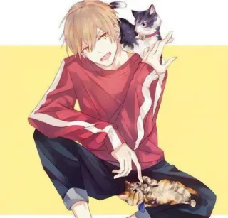 🐈 36033cb3 аниме, кот, милый, парень whatsapp sticker