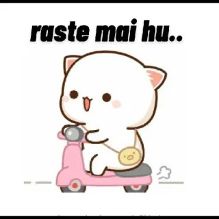 🛵 170fe924 raste mai hu.. mèo, xe tay ga, dễ thương, đào, mèo đào mochi mochi, lái xe telegram sticker