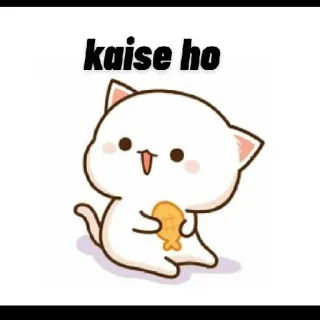 😉 40864e33 kaise ho mèo, cá, lời chào, dễ thương, hoạt hình telegram sticker