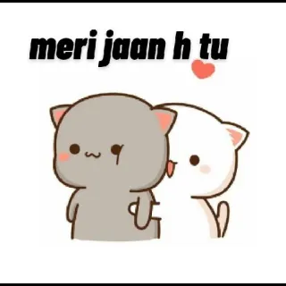 🤗 d9b92abd meri jaan h tu tình yêu, tình cảm, mèo, dễ thương, lãng mạn telegram sticker