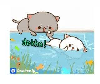 🤣 2624be20 dekha! kot, środkowy palec, obraźliwe, naklejka telegram sticker