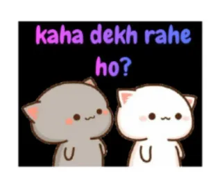 🧐 7cee6f59 kaha dekh rahe ho? koty, słodkie, zwierzęta, naklejki, patrzące telegram sticker