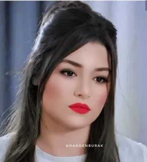 😕 053b4a1a @HANDENBURAK telegram sticker