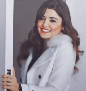 😁 423d17d5 woman, portrait, coat, smile, hande ercel telegram sticker