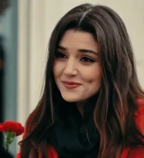 🌹 902da734 telegram sticker