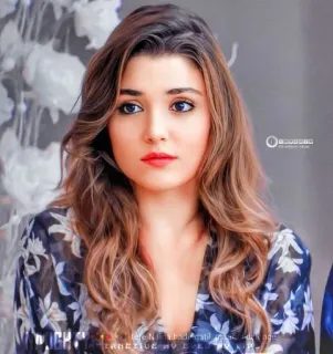 @stickersbag hande ercel💖🧚‍♀ whatsapp stickers