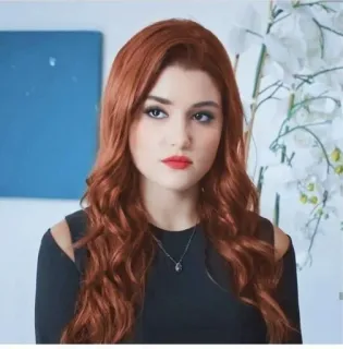 😏 ed693a9d woman, red hair, portrait, beauty, female, person telegram sticker