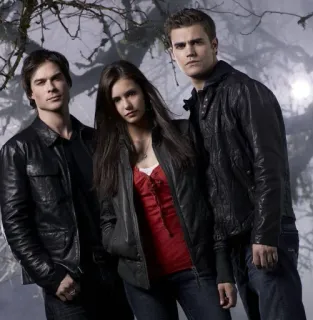 @stickersbag 🧛The Vampire Diaries 💖 telegram stickers
