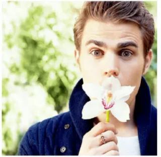 @stickersbag 🧛The Vampire Diaries 💖 telegram stickers