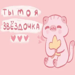 🥸 dc3f911f ты моя звёздочка cat, star, cute, kawaii, hearts, animal telegram sticker