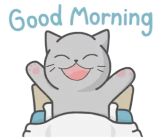 😊 77d91ecb Good Morning кот, доброе утро, привет, милый, животное, сонный telegram sticker
