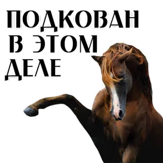 Stickers With Horses @stickersb2b telegram stickers