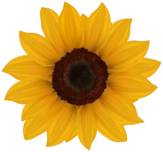 @stickersworld-flower telegram stickers