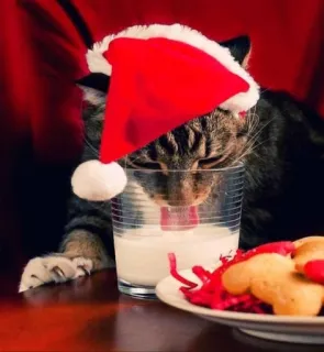 🤩 3bc109e6 猫, クリスマス, 牛乳, サンタ帽子, クッキー, 祝日, お祝い, 動物 whatsapp sticker