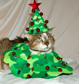 🤩 59822018 猫, クリスマスツリー, ペット, 動物, 祝日, クリスマス, 面白い, 可愛い whatsapp sticker