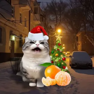 🤩 c0a9fa88 猫, サンタ帽子, クリスマスツリー, みかん, 冬, 雪, 新年, お祝い whatsapp sticker