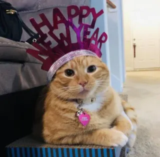 🤩 f21b286c HAPPY NEW YEAR 猫, 新年, お祝い, ペット, パーティー, 休日 whatsapp sticker