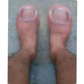 сырная хачапурда whatsapp stickers